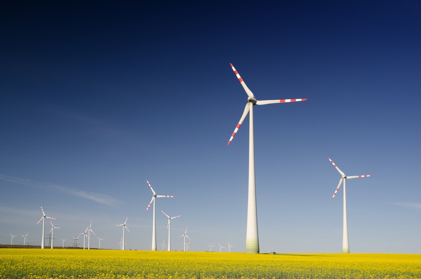 Top Community Initiatives Tackling Climate Change in Devon